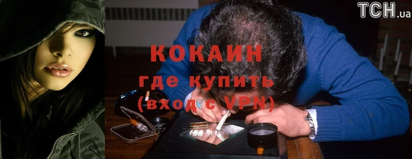 соль ск Арсеньев