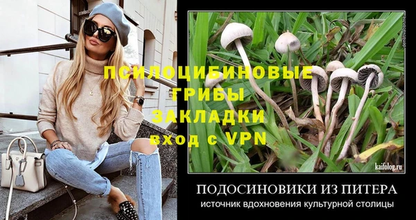 прущие грибы Покачи