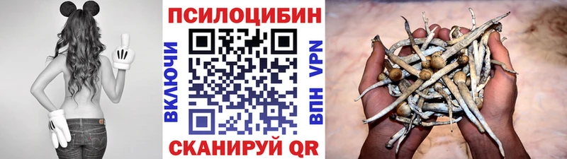 гидра как зайти  наркотики  Горбатов  Галлюциногенные грибы Magic Shrooms 